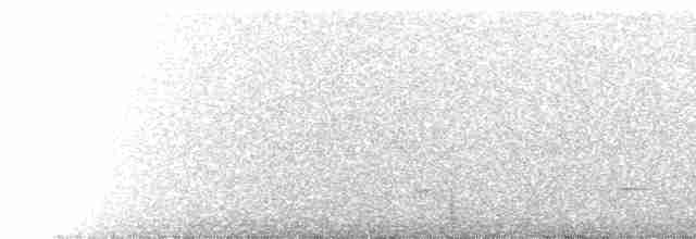 Small-billed Tinamou - ML518380