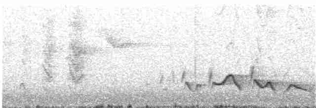 Краснобровый попугаевый виреон - ML51843211