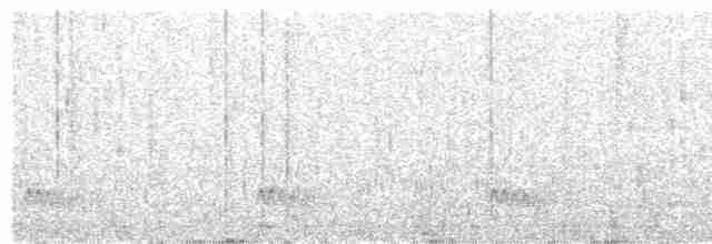 Tinamou à tête rousse - ML518480091