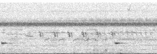 Small-billed Tinamou - ML51849
