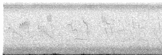 Benekli Notura Tinamusu - ML518491521