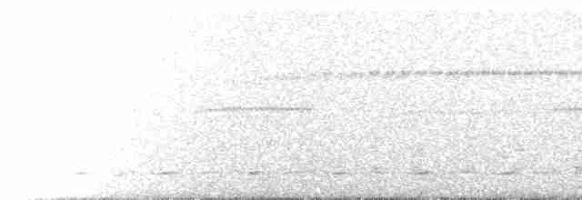 Chevêchette brune - ML518498