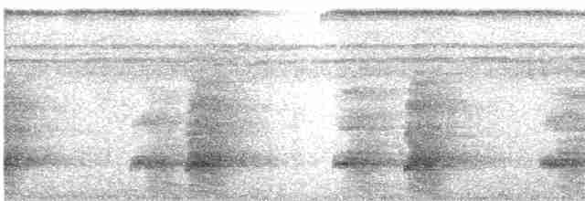 Channel-billed Toucan - ML518509101