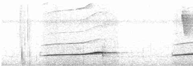 Лінивка-смугохвіст панамська - ML518511281