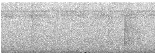 White-mantled Barbet - ML518516031