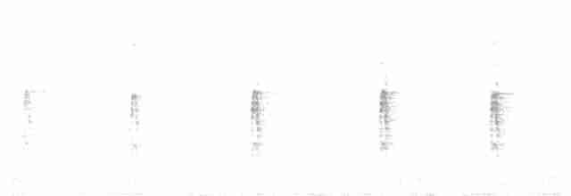 strakapoud velký [skupina major] - ML518535141