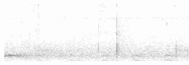 Black-tailed Trogon - ML51853571