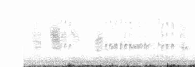 Plectrophane des neiges - ML518558771