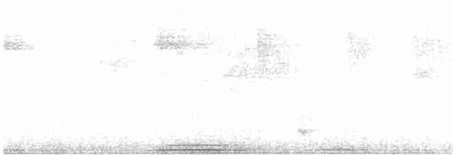 Сероголовая голубка - ML518578671