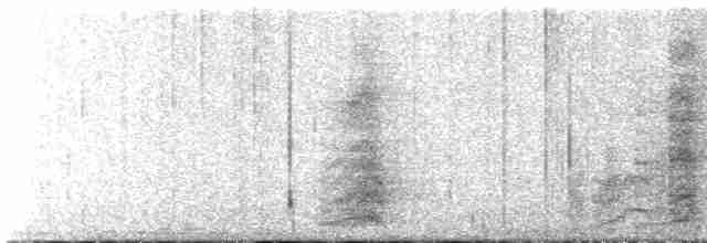 Aratinga de Wagler - ML518601571