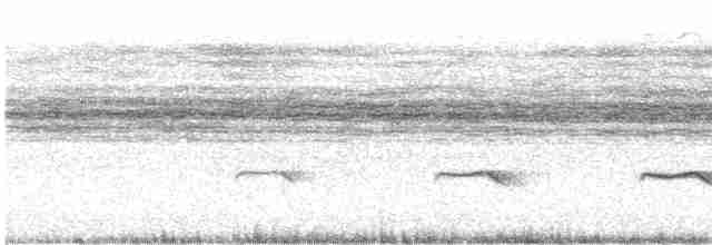 krattgjøk (variolosus gr.) - ML518644291