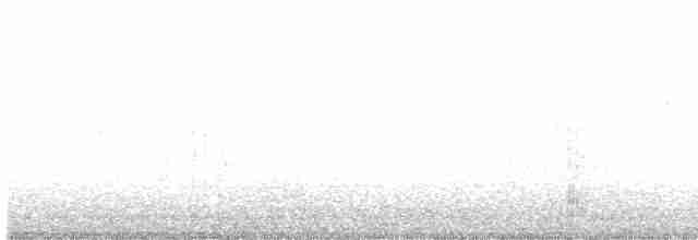 Common Gallinule - ML518681881