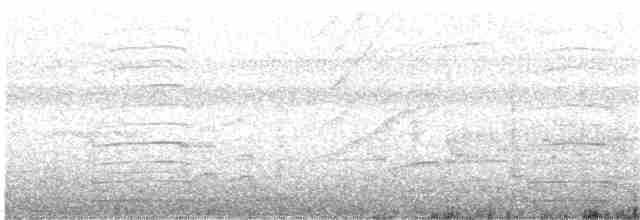 Common Gallinule - ML51868321