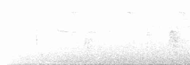 Трупіал чорнокрилий - ML518736541