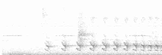 Bar-crested Antshrike - ML518737561