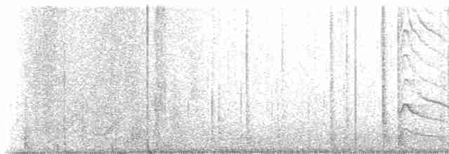 Дятел-смоктун червоноголовий - ML518748351
