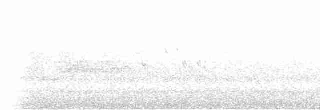 White-tufted Sunbeam - ML518748791