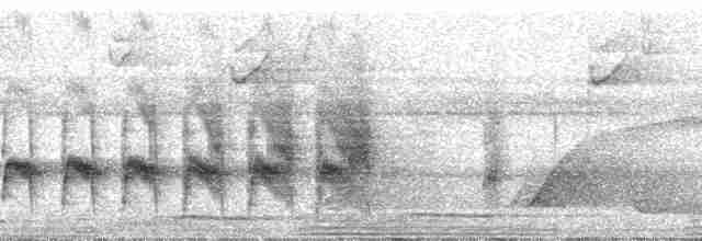Мурав’янка-прудкокрил рондонійська - ML51878