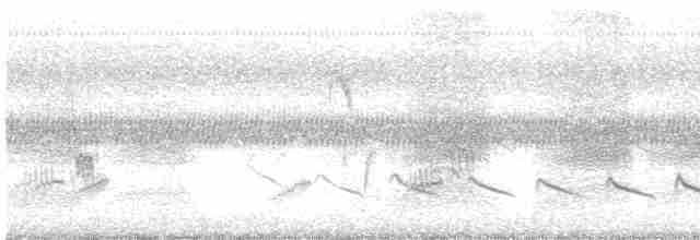 Кратеропа смугастоголова - ML518833381