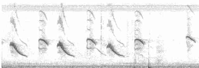 Кратеропа смугастоголова - ML518833591