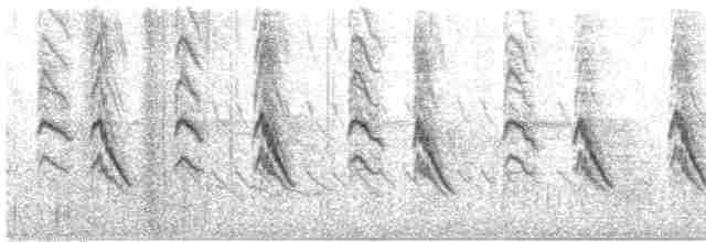 Кратеропа смугастоголова - ML518833601