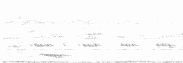 Сичик-горобець індійський - ML518919161
