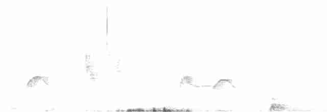 White-crested Elaenia - ML518926271
