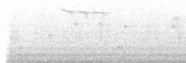 White-throated Dipper - ML518943701