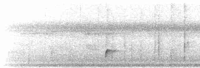 Дрізд-короткодзьоб Cвенсона - ML518967921
