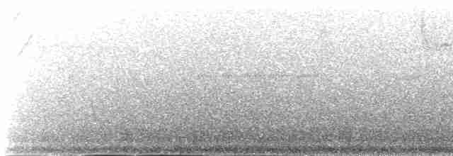 Черноголовый крапивник - ML518971221