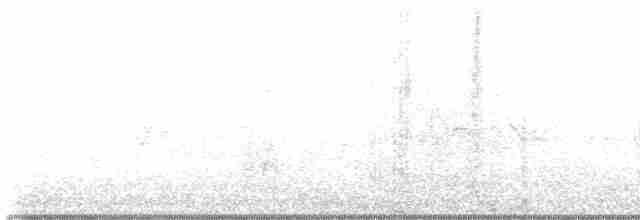 strakapoud osikový/americký - ML518979901