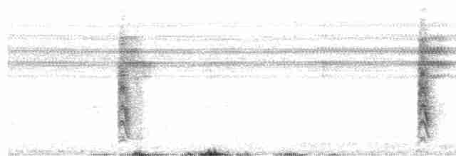 Weißbrauenweber (mahali) - ML518990991