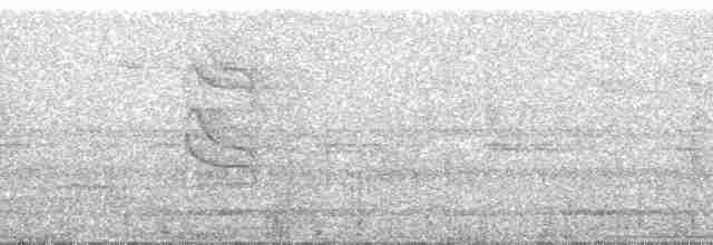 rondoniatreløper (fuscicapillus) - ML51900