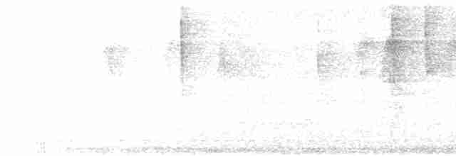 Ticotico de Anteojos (variegaticeps) - ML519157141