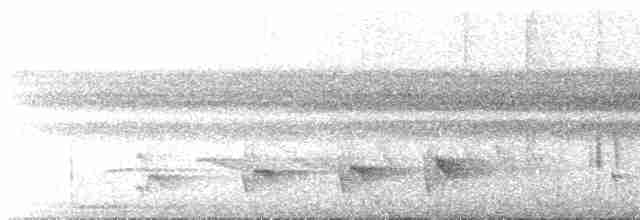 Rufous-tailed Stipplethroat - ML519158471