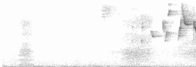 White-lored Warbler - ML519160111