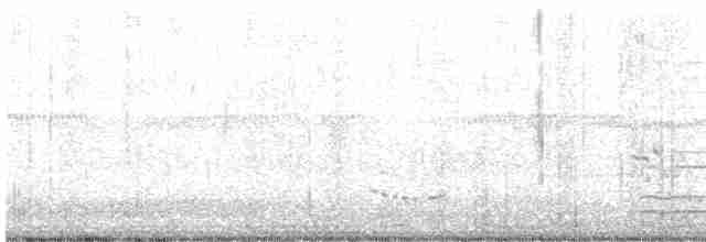 Loggerhead Shrike - ML519178841