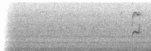 Puna Thistletail - ML519204321