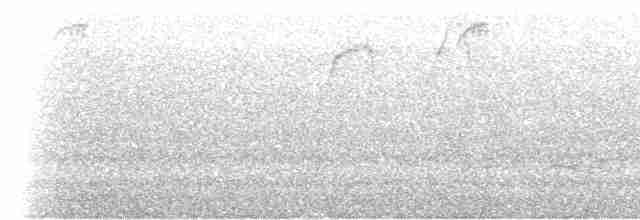 Puna Thistletail - ML519204411