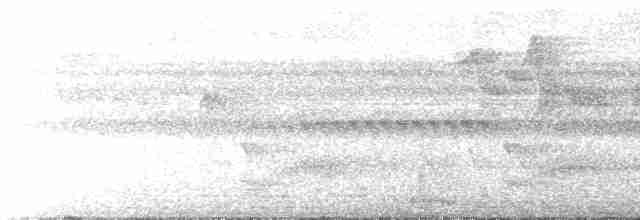 Прямоклювый колибри-отшельник - ML519223781