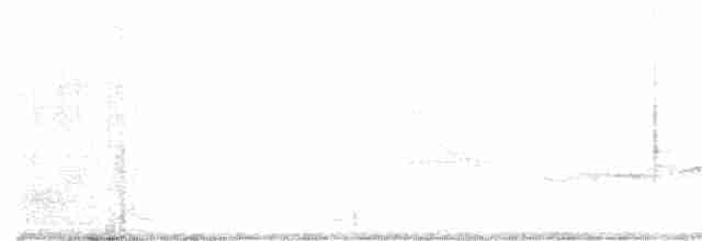 Puff-throated Babbler - ML519258441