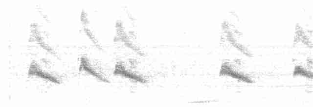 Пая гіацинтова - ML51926731