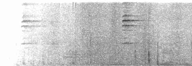 Troglodyte de Nava - ML519456701