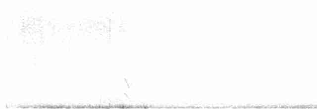 Common Buzzard (Western) - ML519615081