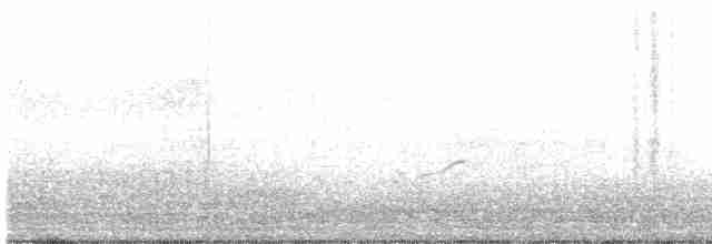 Eurasian Oystercatcher - ML51961511