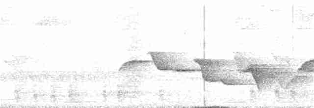Spot-breasted Wren - ML51962201