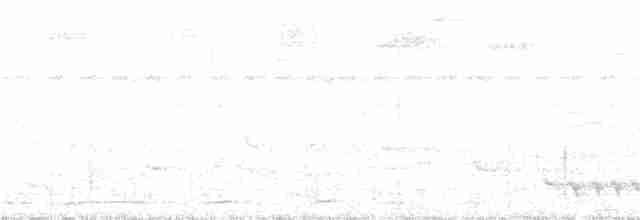 Northern Black-throated Trogon - ML51962971