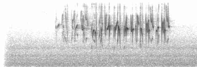 Percefleur à gorge noire (brunneiventris) - ML519633061