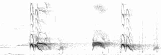 Тимелія-криводзьоб рудощока - ML51965381