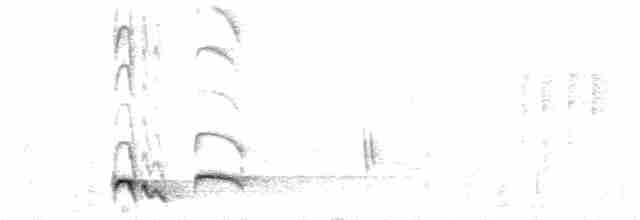 Тимелія-криводзьоб рудощока - ML51965401